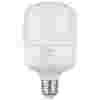Лампа светодиодная ЭРА Б0027000, E27, T80, 20Вт