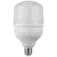 Отзывы Лампа светодиодная ЭРА Б0027004, E27, T100, 30Вт