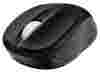 Trust Vivy Wireless Mini Mouse Black USB