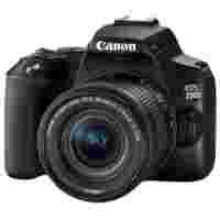 Отзывы Canon EOS 250D Kit