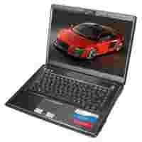 Отзывы Roverbook RoverBook Pro M490 (Core 2 Duo P7350 2000 Mhz/15.4