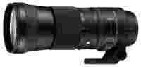 Отзывы Sigma AF 150-600mm f/5.0-6.3 DG OS HSM Contemporary Canon EF
