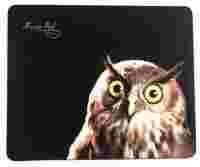 Отзывы Dialog PM-H15 Owl