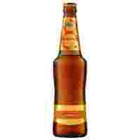 Отзывы Пиво светлое Балтика №8 Пшеничное 0.47 л
