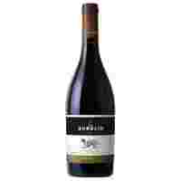 Отзывы Вино Don Aurelio Syrah, Valdepenas DO, 0.75 л