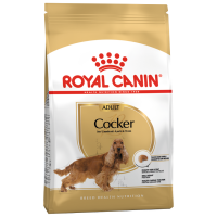 Отзывы Корм для собак Royal Canin Коккер-спаниель для здоровья кожи и шерсти, курица