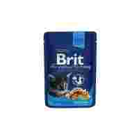 Отзывы Корм для котят Brit Premium беззерновой, с курицей 100 г (кусочки в соусе)