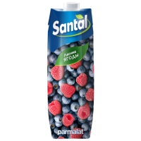 Отзывы Напиток сокосодержащий Santal Лесные ягоды, с крышкой, без сахара