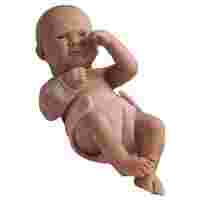 Отзывы Кукла JC Toys BERENGUER Newborn, 36 см, JC18501