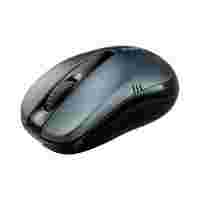 Отзывы Rapoo Wireless Optical Mouse 1070P Grey USB