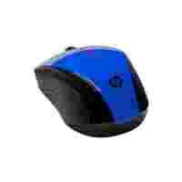Отзывы HP Wireless Mouse X3000 N4G63AA Cobalt Blue USB