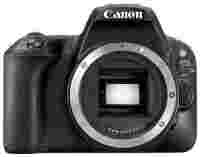 Отзывы Canon EOS 200D Body