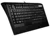 Отзывы SteelSeries Apex [RAW] Gaming Keyboard Black USB