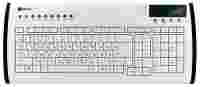 Отзывы Zignum ZG-7350-RU White USB