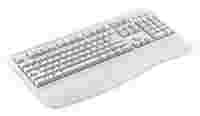 Отзывы Mitsumi Keyboard Ergonomic White PS/2