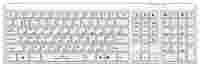 Отзывы Oklick 560 S Multimedia Keyboard White USB