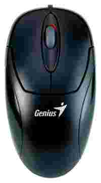 Отзывы Genius NetScroll 120 V2 Black USB