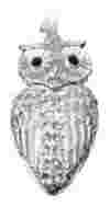 Qumo Charm Series Owl