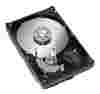 Seagate ST3300831AS