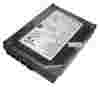 Seagate ST3160827AS