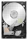 Seagate ST33000651AS